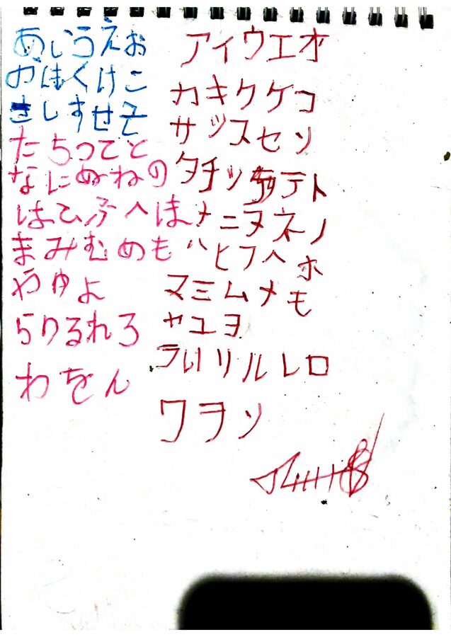 Hand-drawn sketchbook page accompanying The Quantum Origins of Language